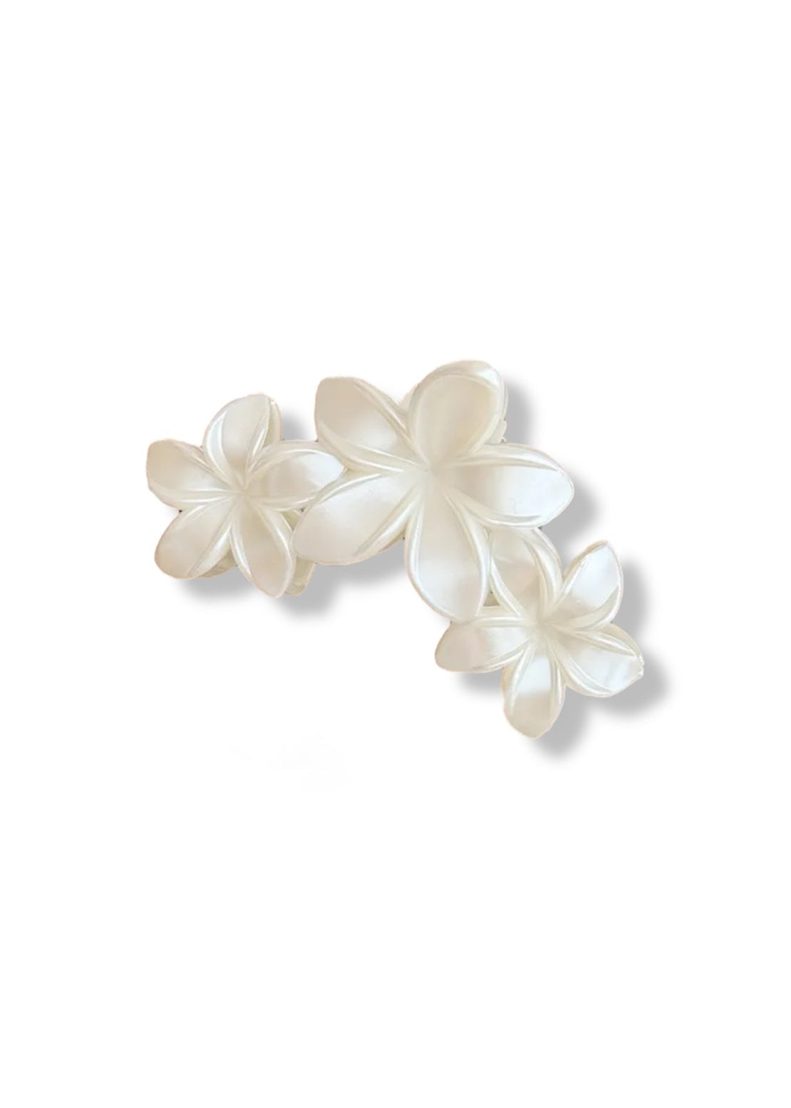 White Flowers