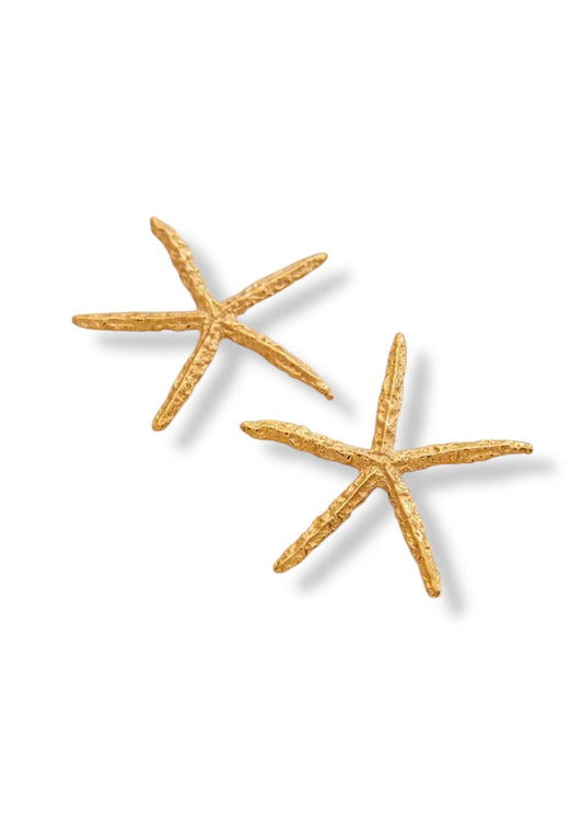 Brincos Estrela do Mar