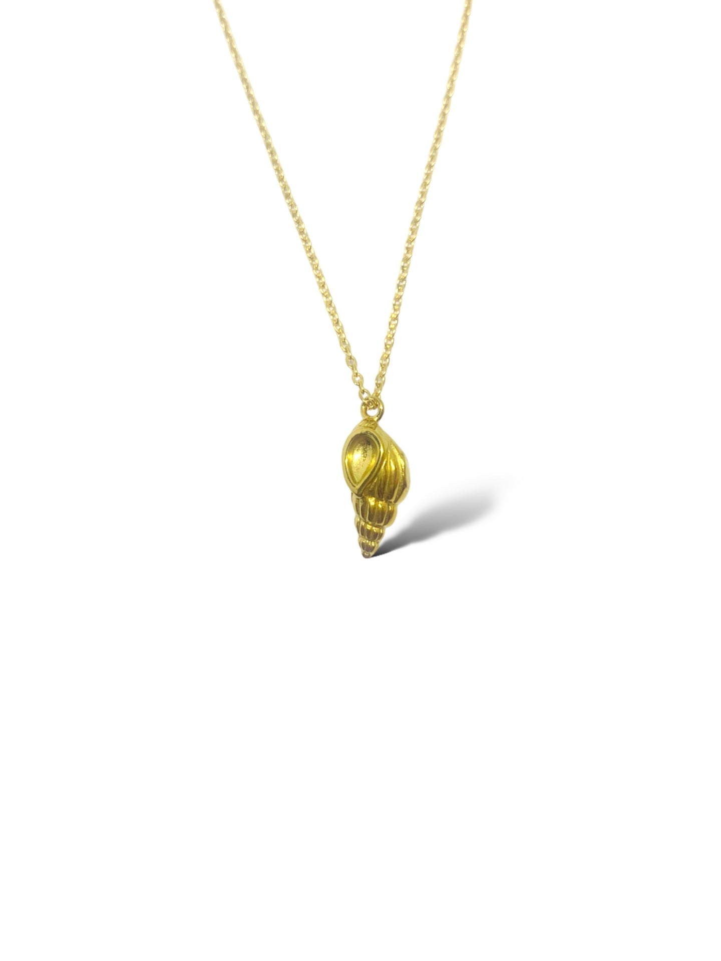 Shell