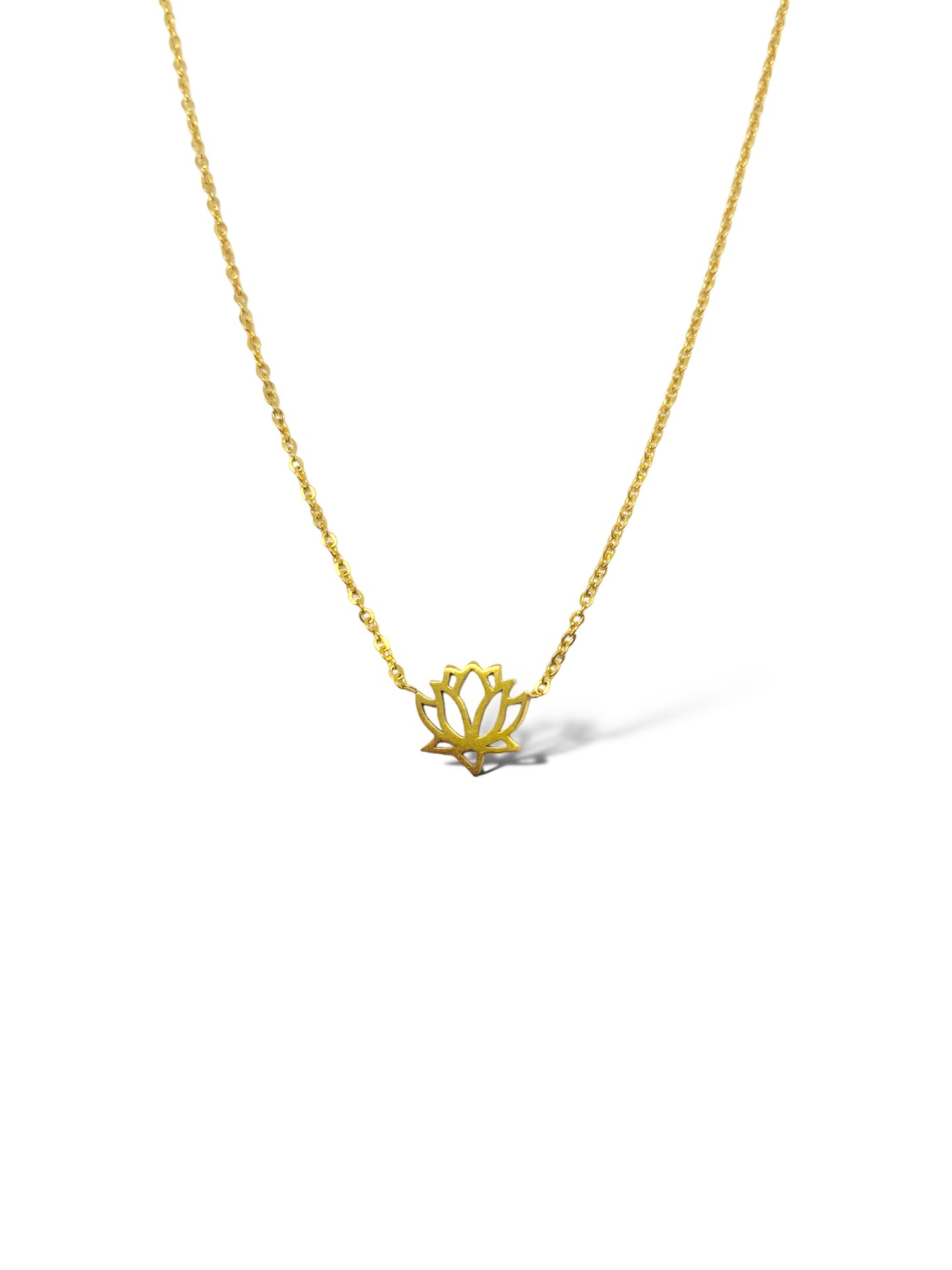 Lotus
