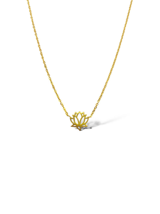Lotus
